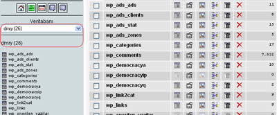 MySQL veritabanı tablolarının onarılması