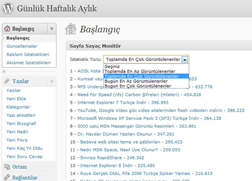 WordPress Sayfa Sayaç Eklentisi