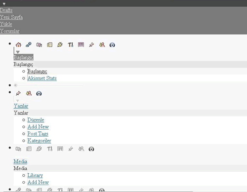 WordPress admin panelindeki style sorunu çözümü