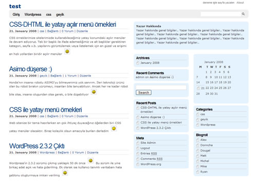 WordPress Blubbr Teması Türkçe Sürüm