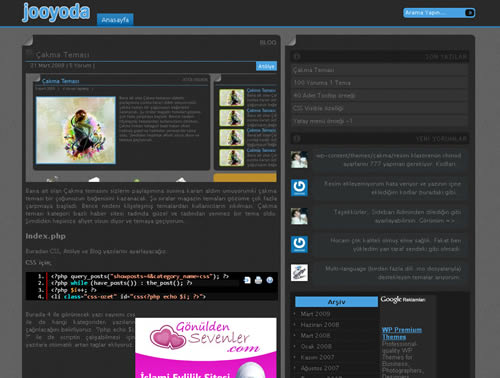 WordPress Çakma Teması