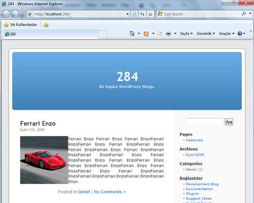 WordPress ile ana ekranda oturum açma sayfası