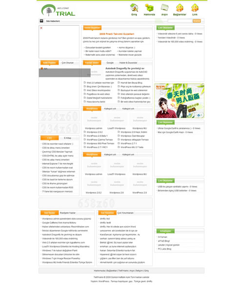 WordPress Lin Teması Türkçe Sürüm