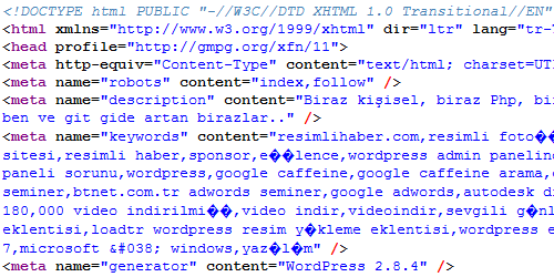 Platinum SEO, anahtar kelimeler Türkçe karakter hatası